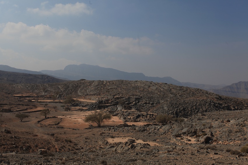 Desert Oman (4)