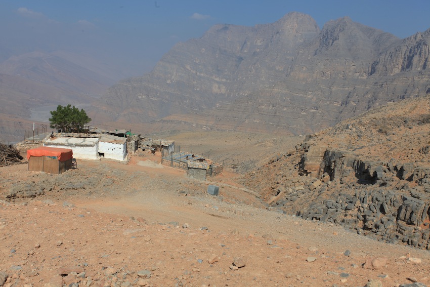 Desert Oman (6)